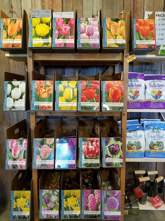 Dutch Meadows Garden Center & Landscaping Garden Center Pella, IA